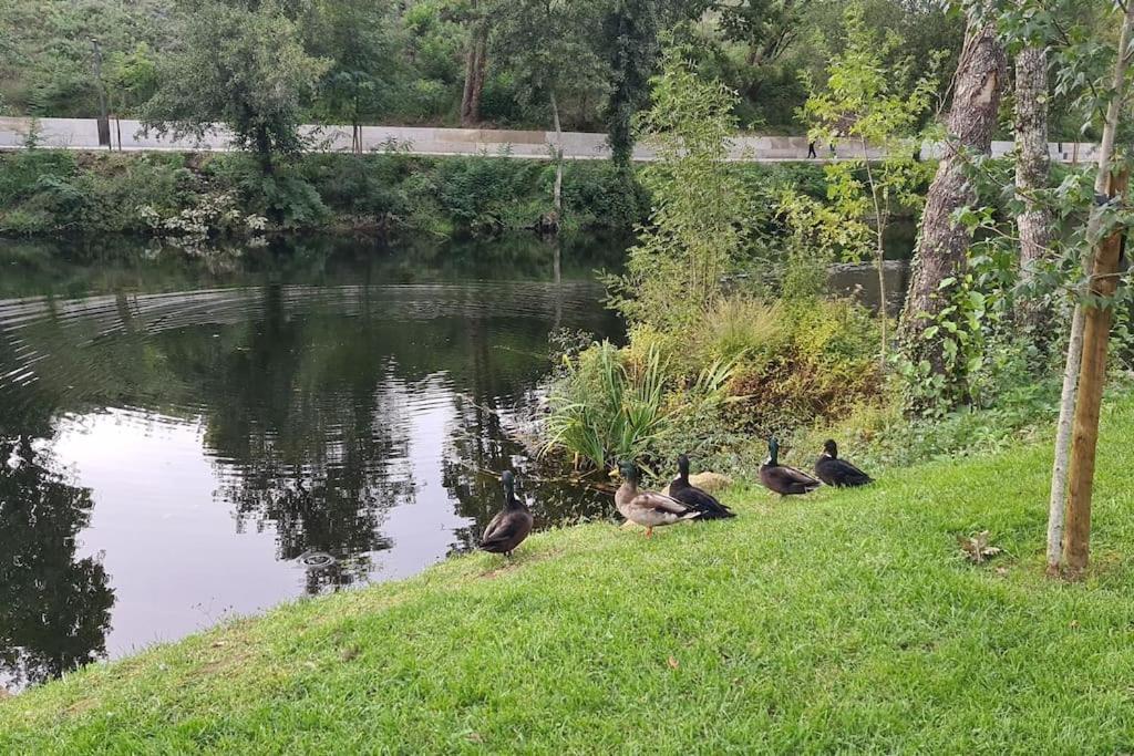 Nature E Spa Al - Termas Saude E Beleza, Totalmente Renovado - Piscinas Municipais Em Frente - Epoca Julho A Setembro 圣佩罗多索 外观 照片