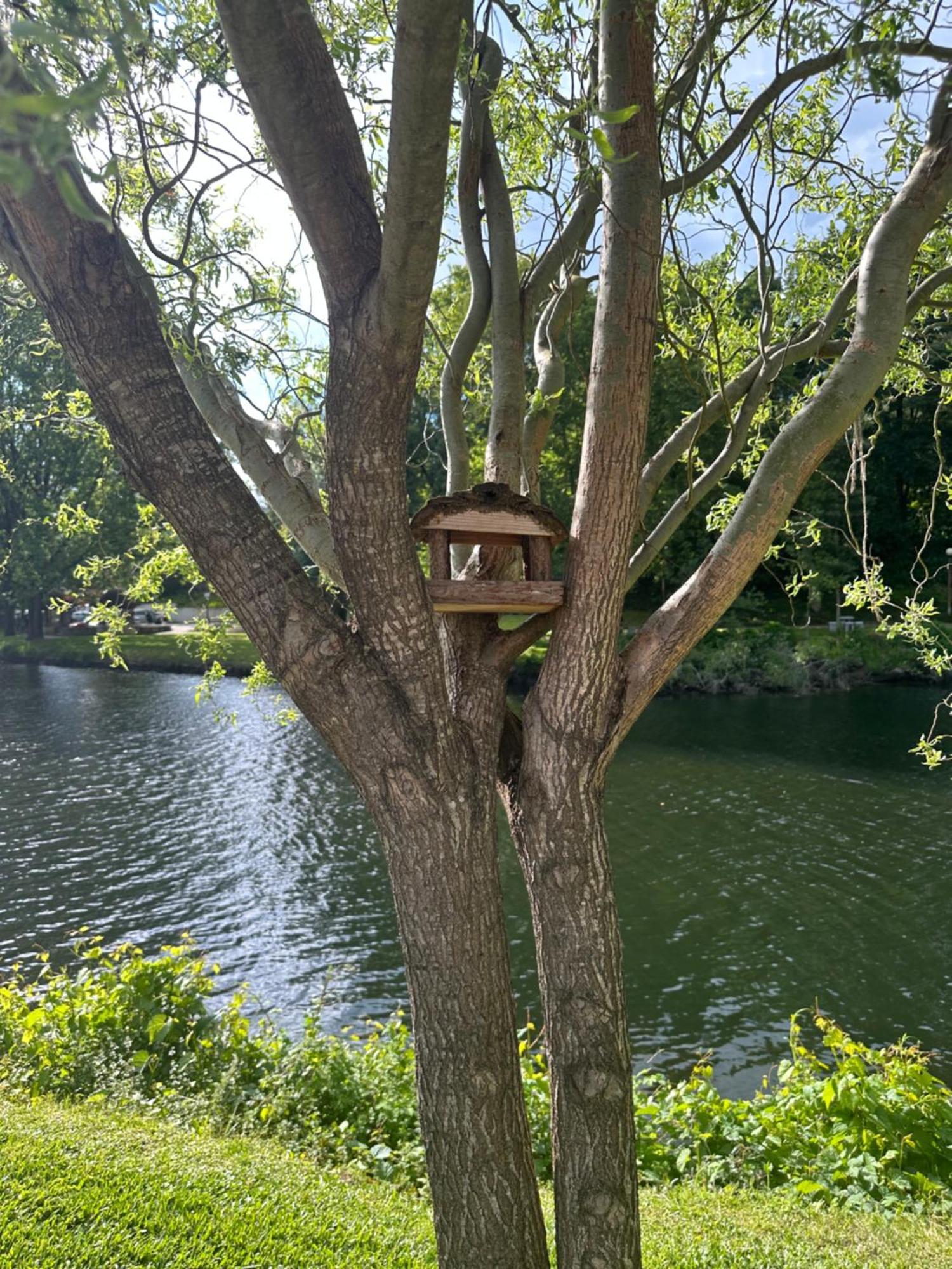 Nature E Spa Al - Termas Saude E Beleza, Totalmente Renovado - Piscinas Municipais Em Frente - Epoca Julho A Setembro 圣佩罗多索 外观 照片